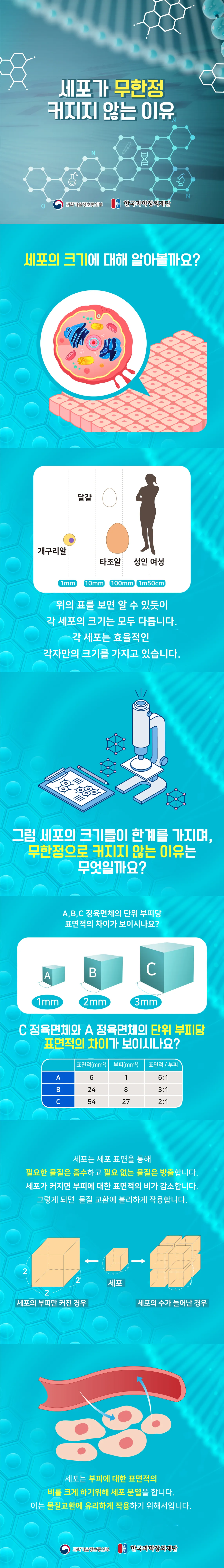[분야] 생물<br>[주제] 체세포 분열과 생식세포 형성과정<br>[콘텐츠명] 세포가 무한정 커지지 않는 이유(도입)<br>[유형] 인포그래픽<br>[난이도] 중등 이상