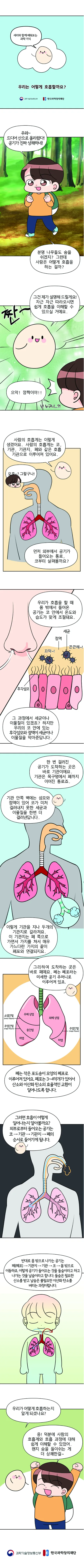 [분야] 생물<br>[주제] 호흡 기관의 구조와 기능 이해<br>[콘텐츠명] 우리는 어떻게 호흡할까요?(전개)<br>[유형] 웹툰<br>[난이도] 중등 이상