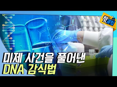 [핫클립] 높은 식별률로 범인을 검거하는 DNA 감식