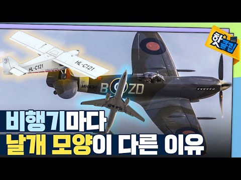 [핫클립] 다양한 모양의 비행기 날개