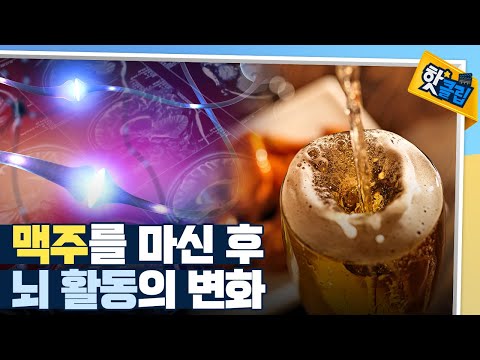 [핫클립] 맥주와 가장 잘 맞는 안주는?