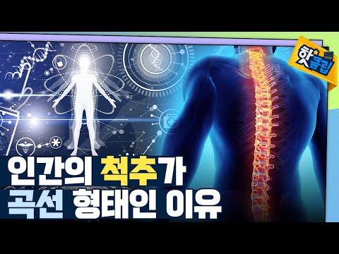 [핫클립] 우리 몸 속 숨어있는 수학