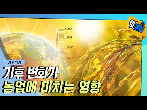 [핫클립] 기후 변화가 농업에 끼치는 영향