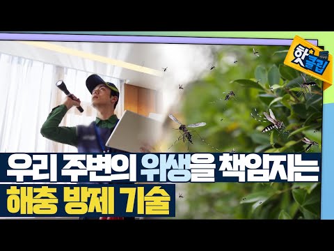 [핫클립] 대한민국 위생을 책임지는 해충 방제 기술