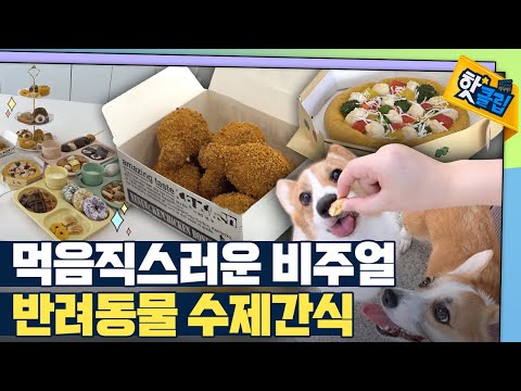 [핫클립] 맛과 건강을 담은 반려동물 간식