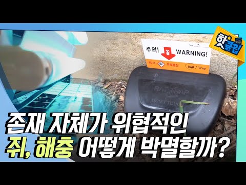 [핫클립] 소독 방역 현장 들여다보기
