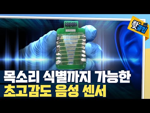 [핫클립] 화자 인식이 가능한 초고감도 음성 센서