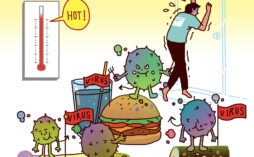여름철 세균성 식중독에 대한 예방대책