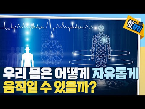 [핫클립] 뇌가 몸을 움직이는 방법