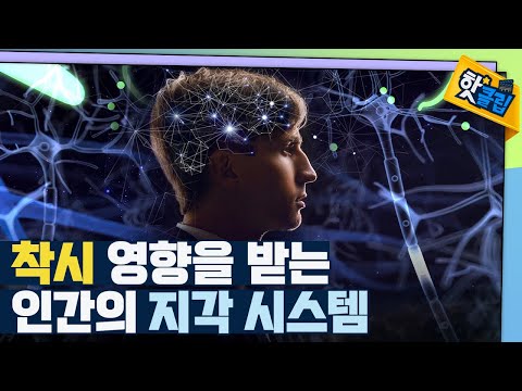 [핫클립] 우리 몸은 착시에 어떻게 반응할까?