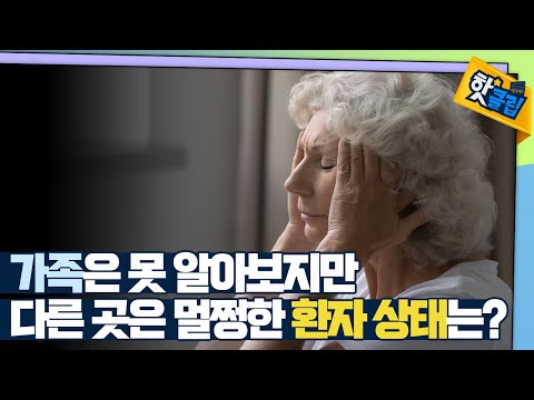 [핫클립] 이중 시각 경로 가설