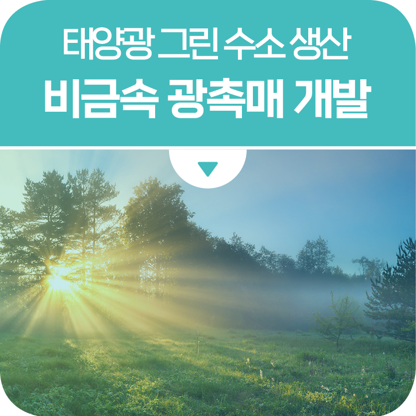 태양광으로 그린 수소 생산 가능한 새로운 구조의 비금속 광촉매 개발