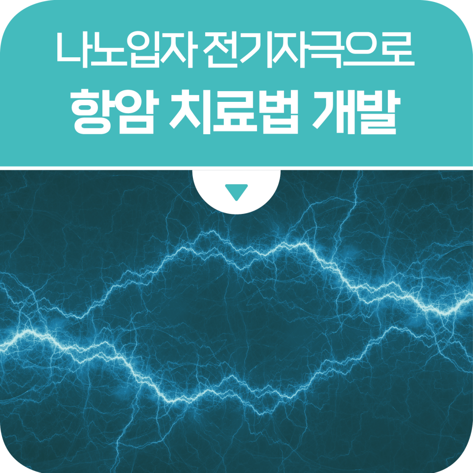 면역활성 나노입자와 전기자극으로 면역 항암 치료법 개발 실마리