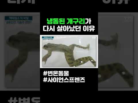 냉동 된 개구리가 다시 살아났던 이유 #shorts