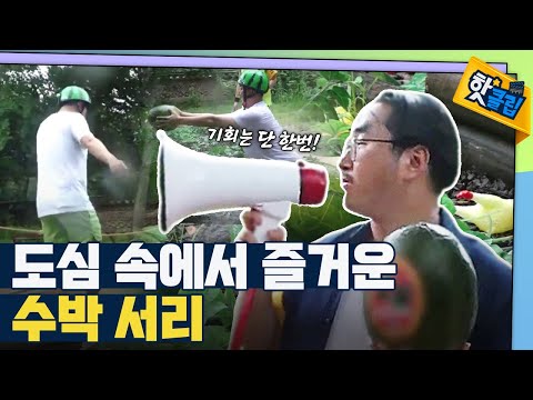 [핫클립] 촌캉스에서 즐기는 수박 서리