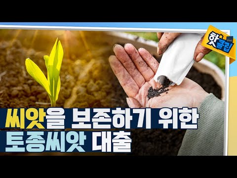 [핫클립] 토종 씨앗을 알리는 씨앗도서관장