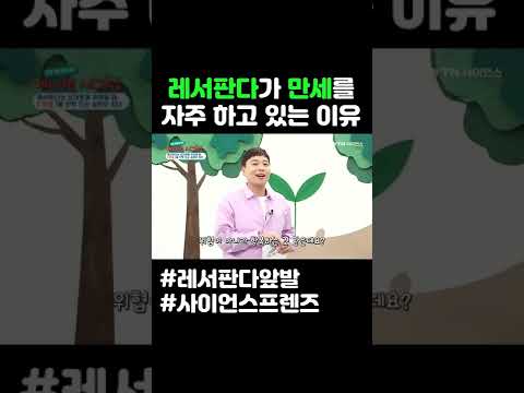 레서판다가 만세를 자주 하고 있는 이유 #shorts