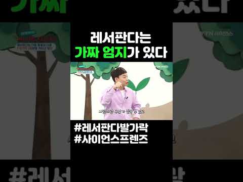 레서판다는 가짜 엄지가 있다 #shorts