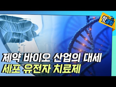 [핫클립] 우리나라 세포·유전자 치료제를 책임질 기업