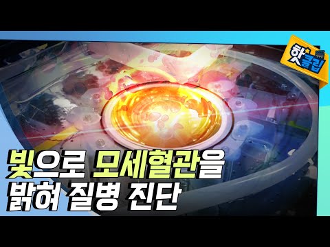 [핫클립] 작은 동물의 전신을 촬영할 수 있는 장치