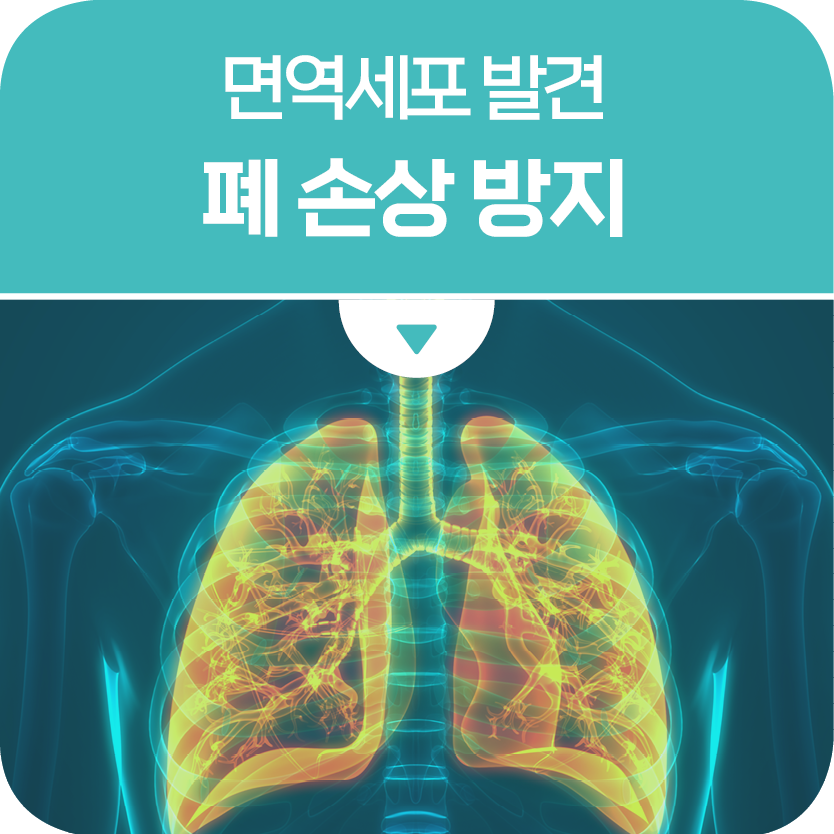감염으로부터 폐를 보호하는 면역세포 발견