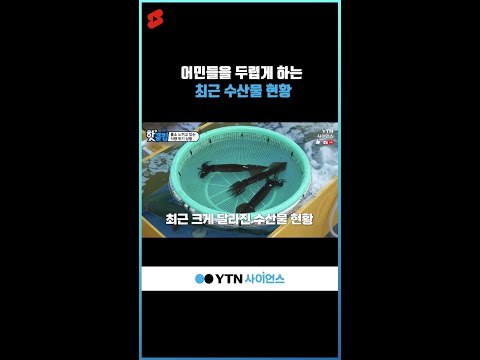 어민들을 두렵게 하는 최근 수산물 현황 #shorts