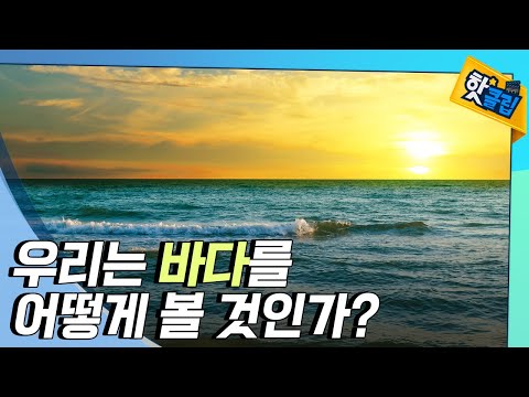 [핫클립] 우리의 시각으로 보는 바다