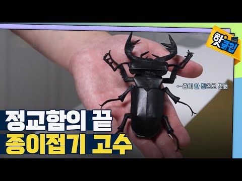 [핫클립] 종이 한장으로 만든 곤충