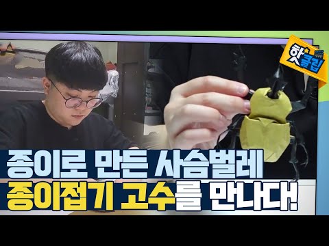 [핫클립] 종이접기로 탄생한 예술작품