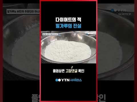 다이어트의 적, 밀가루의 진실 #shorts