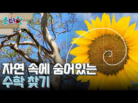 [수다학] 즐거운 수학여행 : 만지고 체험하며 자연 속 아름다운 수학 원리 배우기