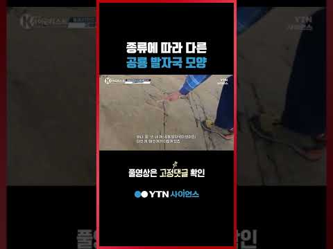 전남 화순에서 찾은 공룡의 흔적들 #shorts