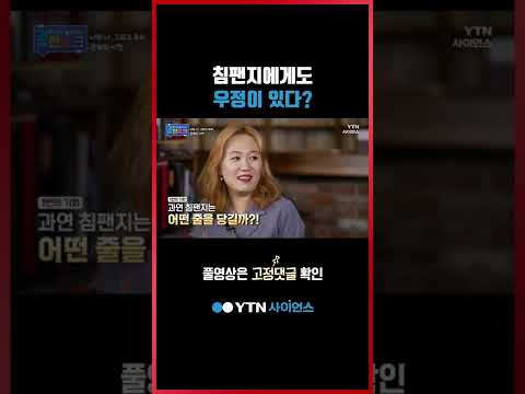 침팬지에게도 우정이 있다? #shorts