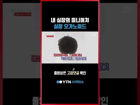 환자의 특성을 그대로 지닌 유사 장기로 약물 테스트가 가능하다 #shorts
