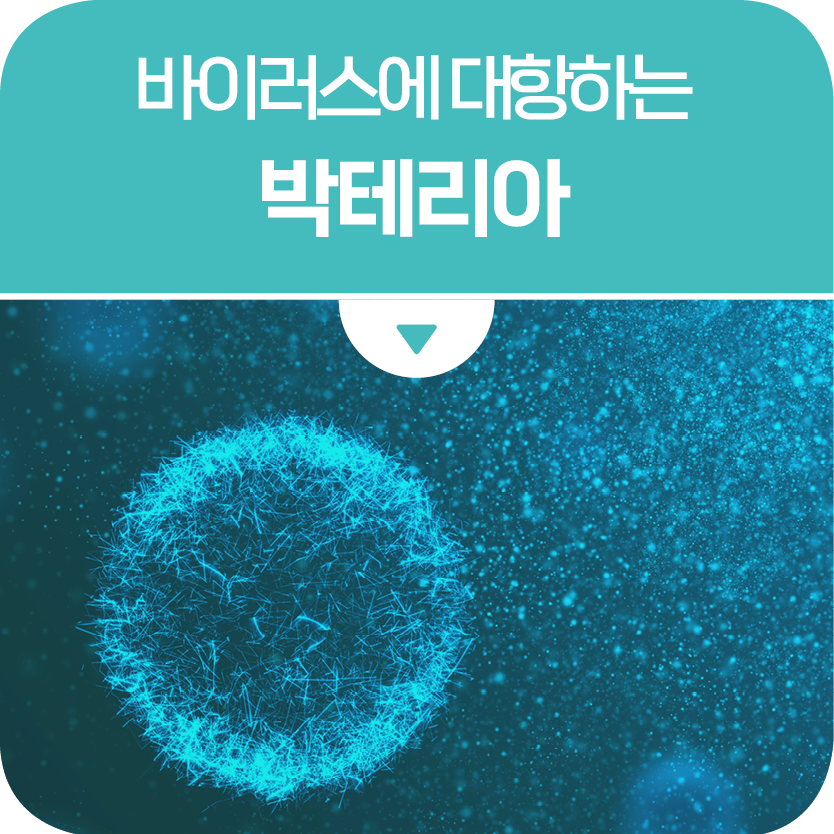 바이러스에 대항하는 박테리아의 새로운 생존 전략 규명