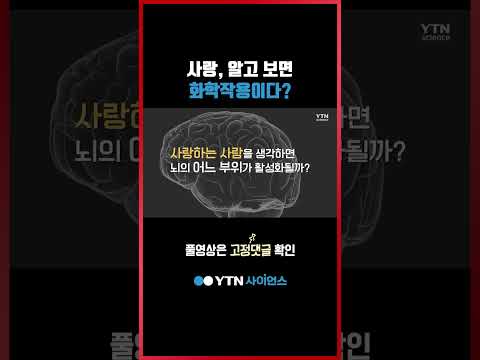 사랑을 담당하는 뇌 부위 #shorts