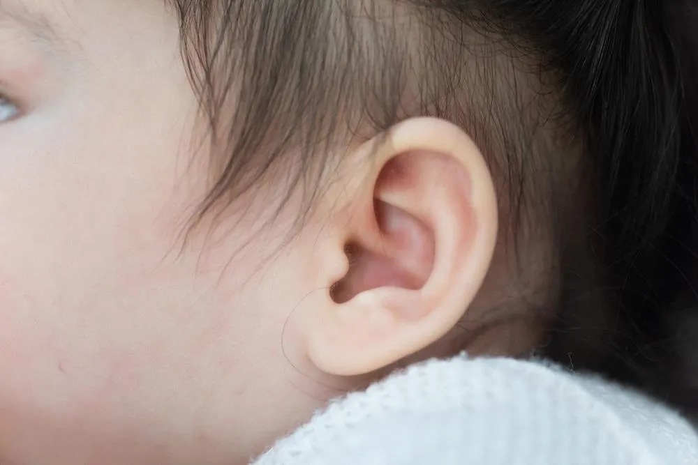 전정기관