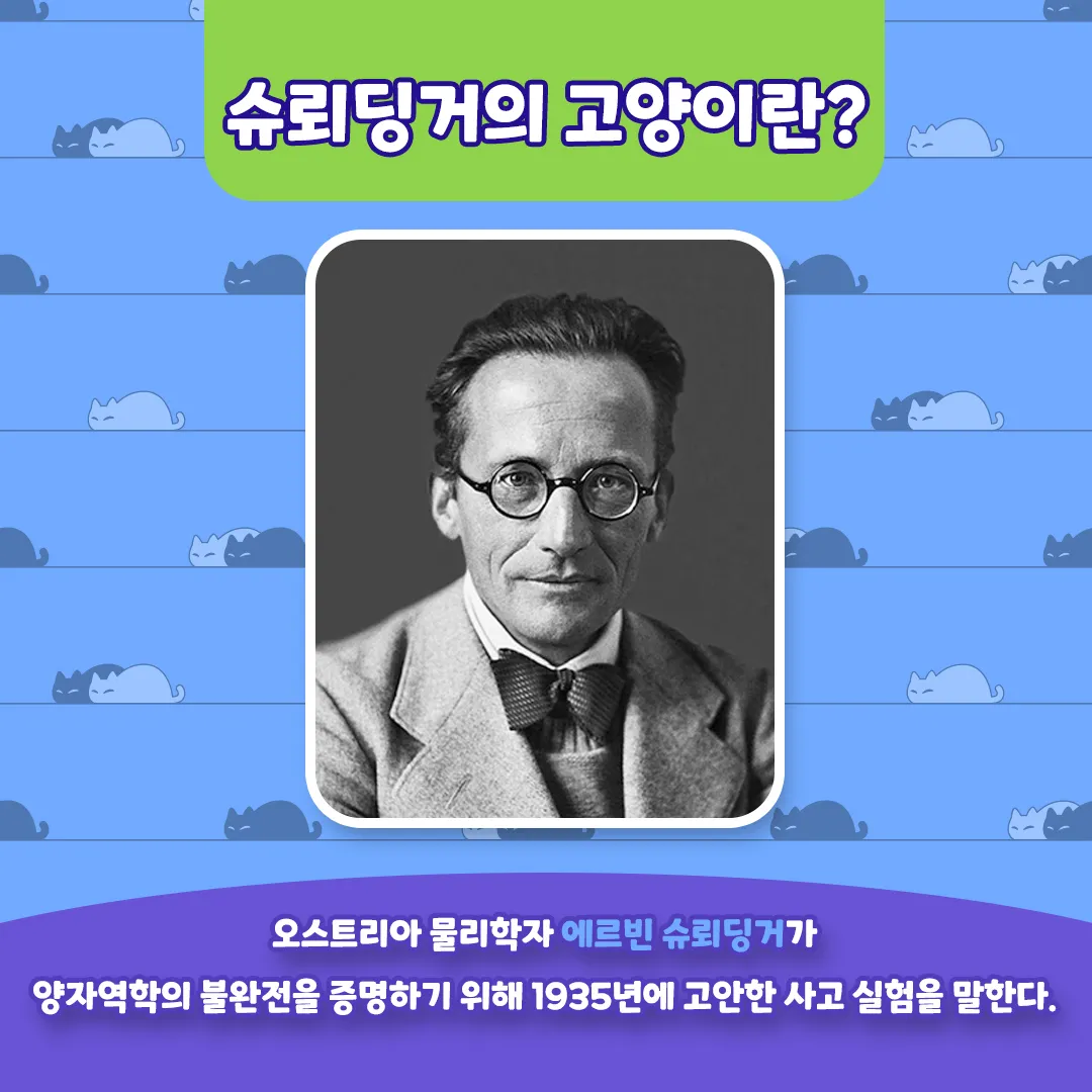 슈뢰딩거의 고양이