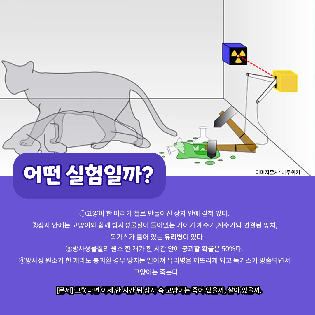 슈뢰딩거의 고양이