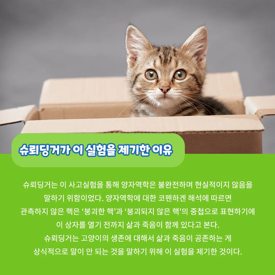 슈뢰딩거의 고양이