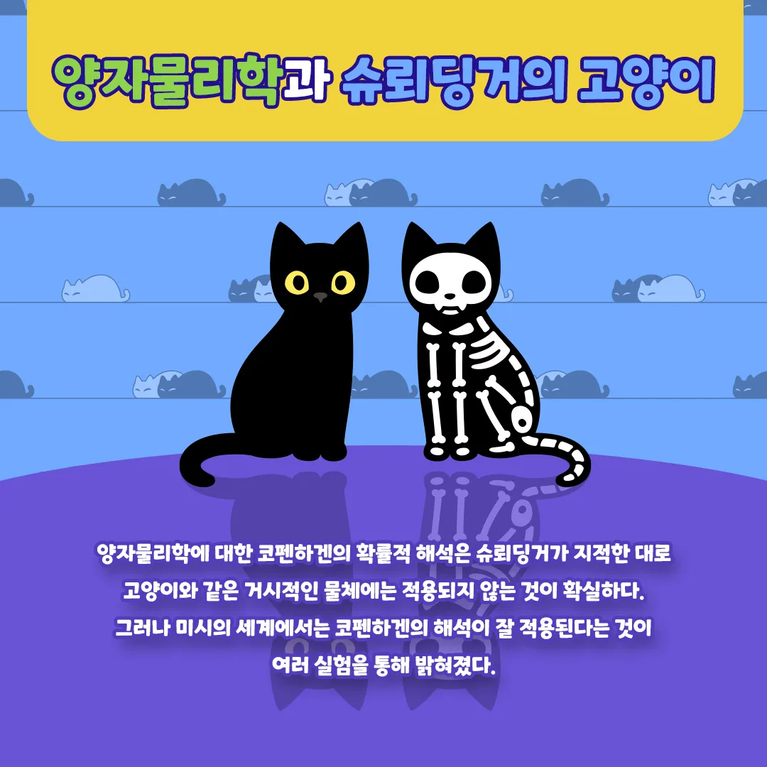 슈뢰딩거의 고양이