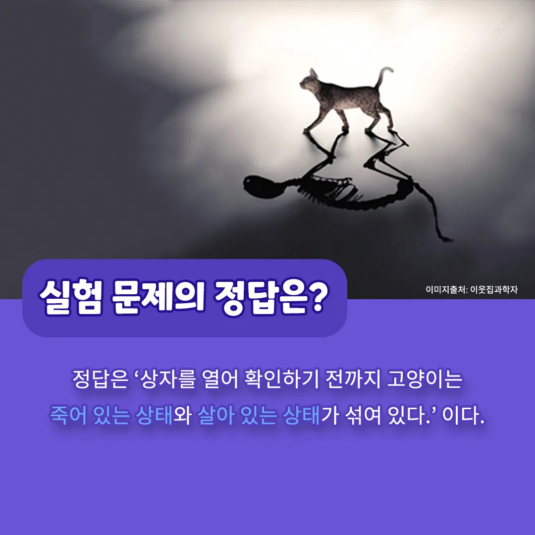 슈뢰딩거의 고양이