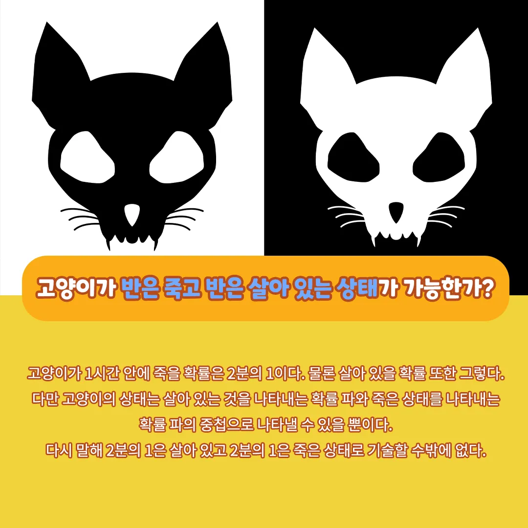 슈뢰딩거의 고양이