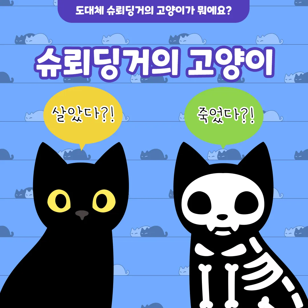 슈뢰딩거의 고양이