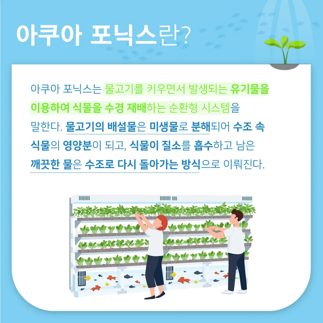 아쿠아포닉스