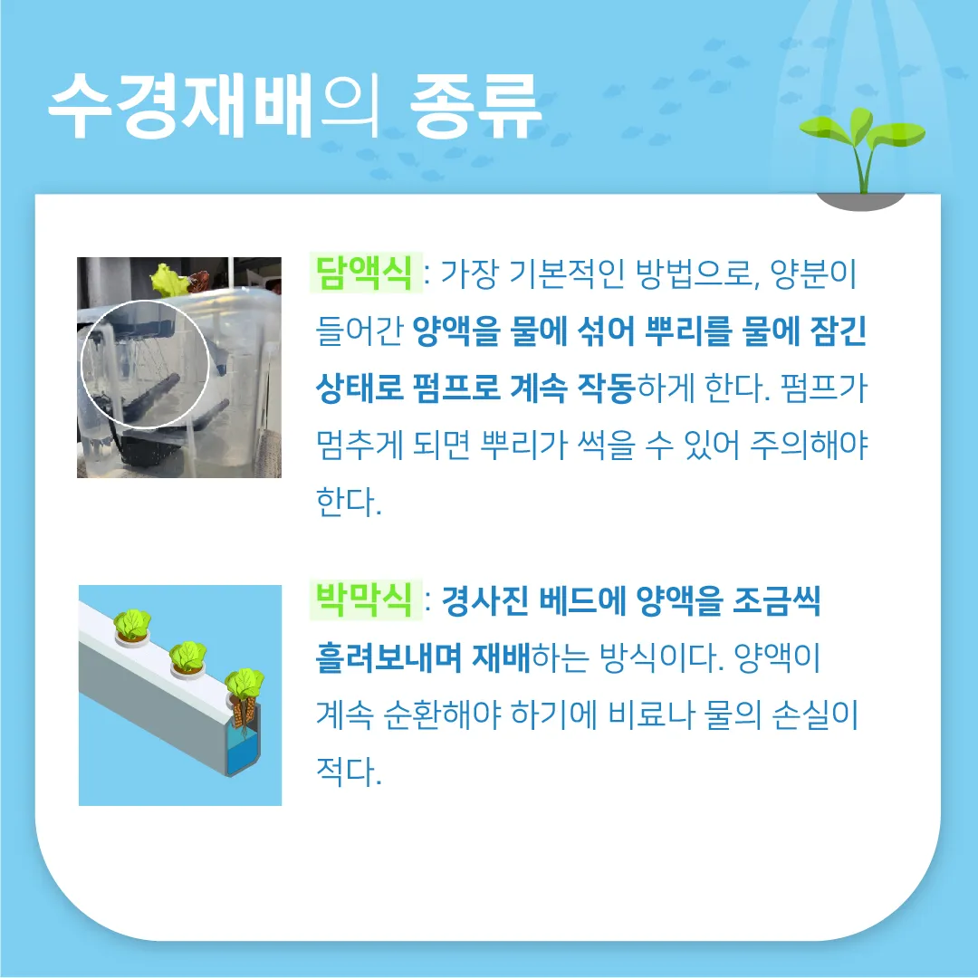 아쿠아포닉스