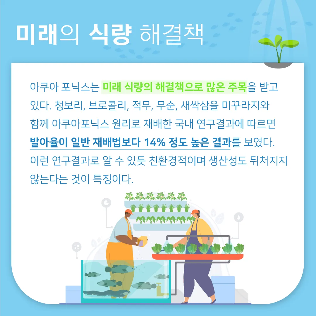 아쿠아포닉스