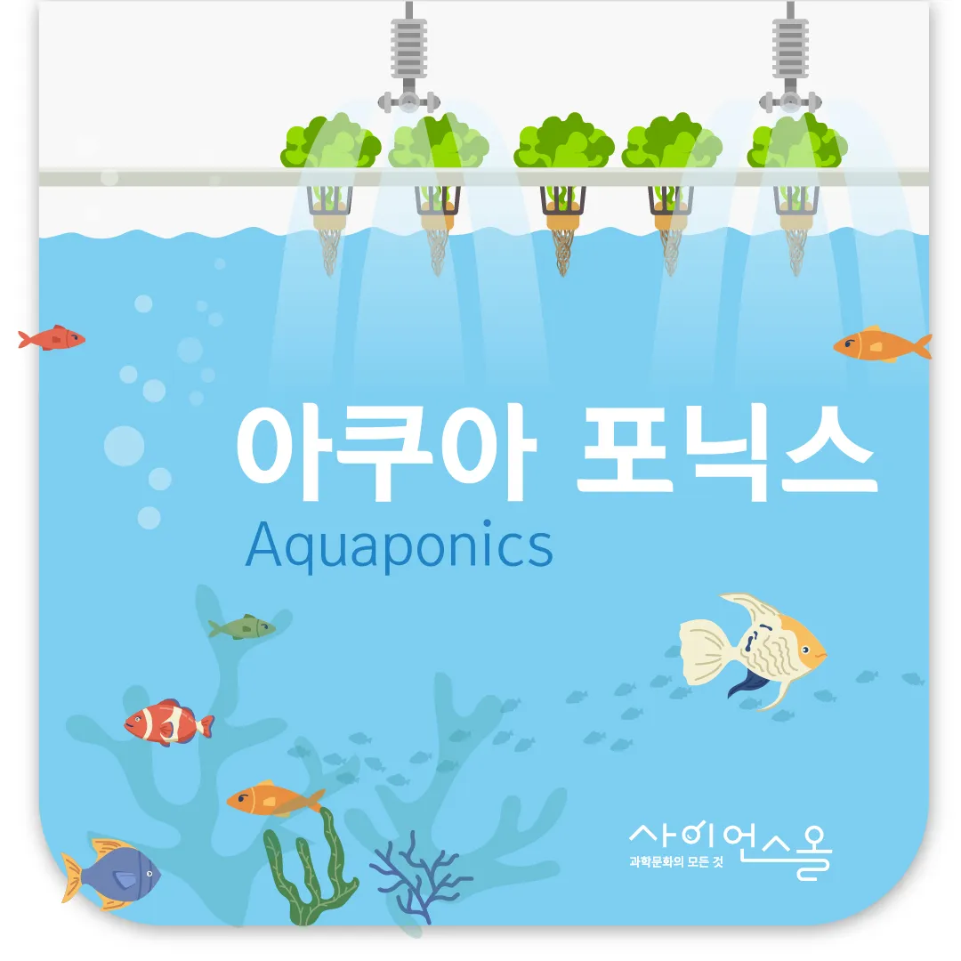 아쿠아포닉스