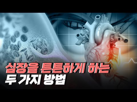 [핫클립] 심장 동맥이 막히는 이유