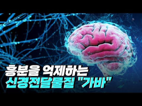 [핫클립] 뇌의 신경회로를 조절할 방법을 연구하다